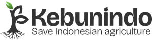 kebunindo logo