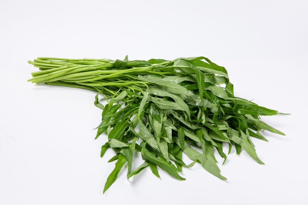 kangkung banner