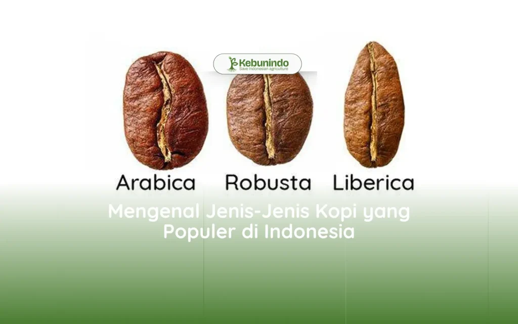 Get to Know The Types of Coffee That Are Popular in Indonesia