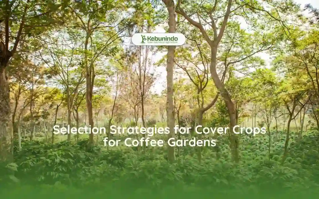 Selection Strategies for Cover Crops for Coffee Gardens