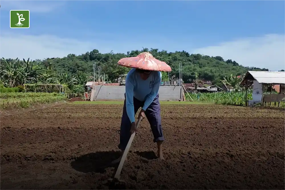 persiapan lahan