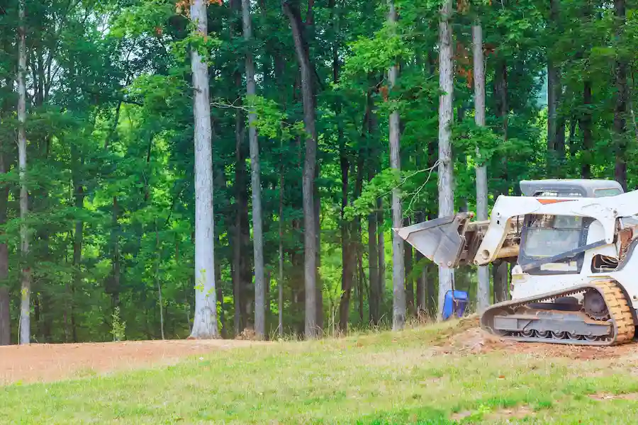 land clearing for coffee plantation