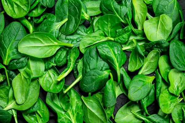 mistakes when growing spinach ignoring spinach type