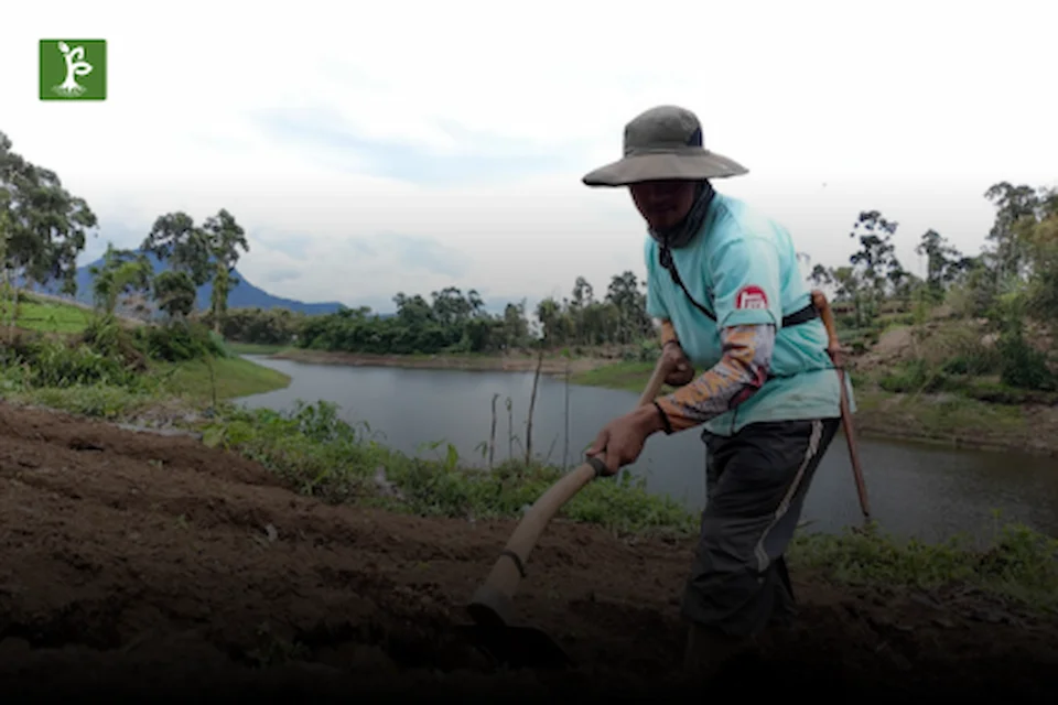 soil tillage for potato field