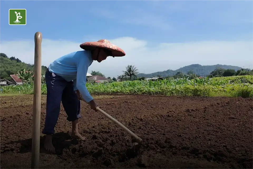 soil tillage